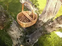 Trockenraum.webp