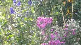 DSCN3870.webp