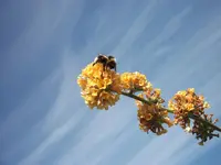 DSCF0746.webp