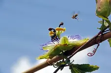 normal__mg_2825_bearbeitet-1.webp