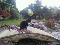 FelixOkt12.webp