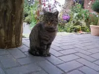 LouisOkt12.webp