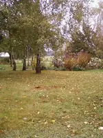 BirkenOkt2_12.webp