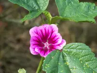 6.10.12 012.webp