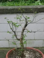 IMG_5633.webp