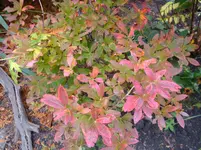DSC00820.webp