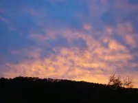 DSC00827.webp