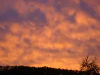 DSC00826.webp