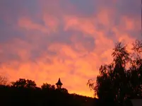 DSC00830.webp