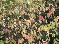024.webp