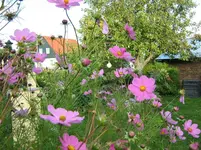 IMG_0032aa.webp