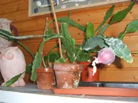 15 Oktober 2012 was ist das 005.webp