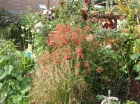 14  Oktober 2012 045.webp