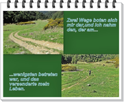 Zwei Wege v.webp
