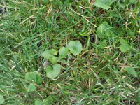 2012-10-11 16.54.00.webp