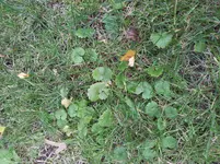 2012-10-11 16.54.03.webp