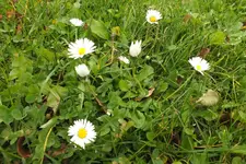 2012_1008Herbst0027.webp