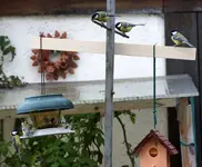 comp_DSC00557.webp