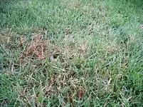 IMGP3665.webp