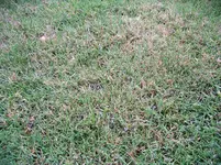 IMGP3668.webp