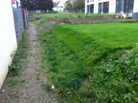 Foto1.webp