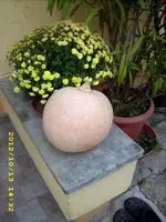 JD500855.webp