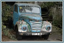 Kraeuterfreund Baum ab - nein Danke!.webp Kraeuterfreund Baum ab - nein Danke!.webp