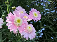 Copy of IMG_3708v.webp