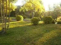 Nußkolonie.webp