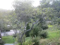 004.webp