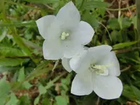 CIMG2092.webp