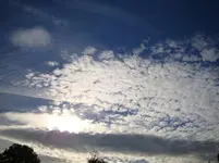 DSC00864.webp
