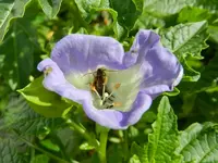 080.webp