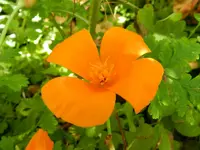 064.webp