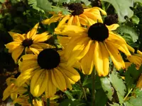 094.webp