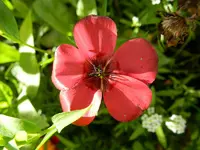 065.webp
