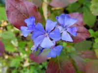 058.webp