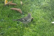 2012_1018Herbst0034.webp