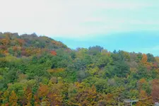 2012_1018Herbst0038 n.webp