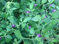BILD0002.webp