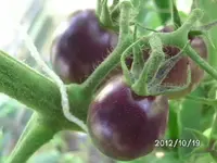 BILD0003.webp