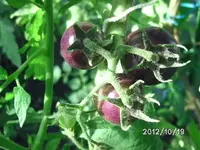 BILD0005.webp