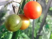 BILD0008.webp