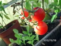 BILD0010.webp