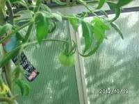 BILD0016.webp