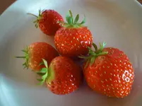 CIMG1604.webp