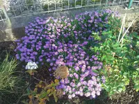 WP_000216.webp