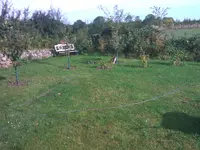 WP_000202.webp