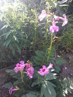 IMG_20120628_170854.webp