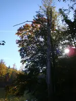 DSC00893.webp